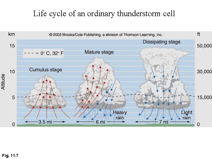 Life cycle of an ordinary thunderstorm cell Fig. 11. 7 