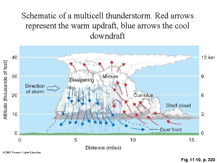 Schematic of a multicell thunderstorm. Red arrows represent the warm updraft, blue arrows the