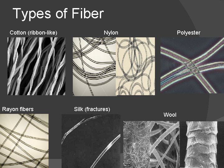 Types of Fiber Cotton (ribbon-like) Rayon fibers Nylon Silk (fractures) Polyester Wool 