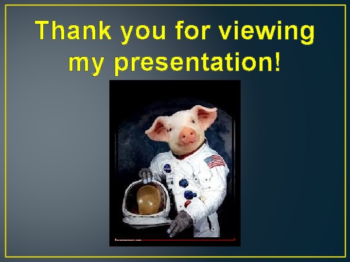 Thank you for viewing my presentation! 