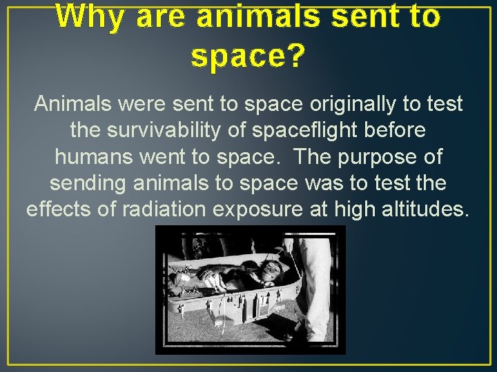 Why are animals sent to space? Animals were sent to space originally to test