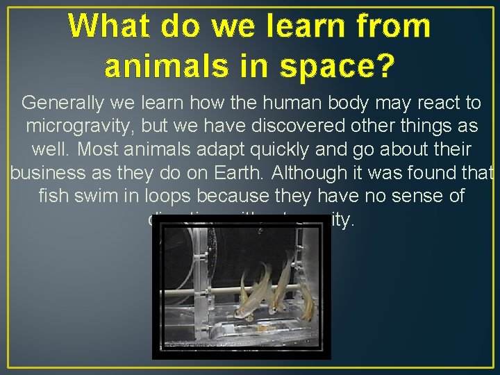 What do we learn from animals in space? Generally we learn how the human