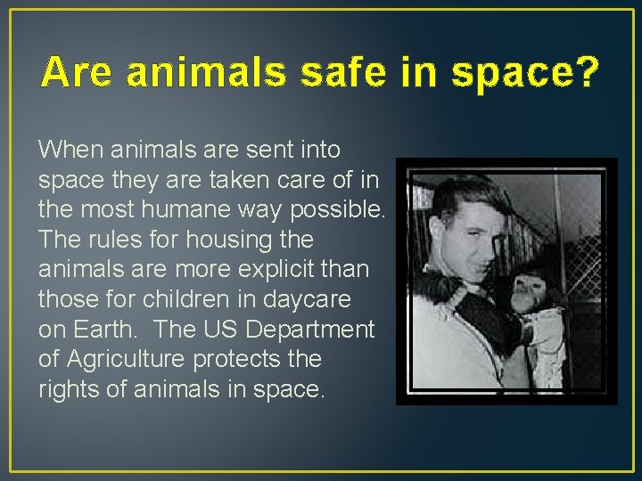 Are animals safe in space? When animals are sent into space they are taken