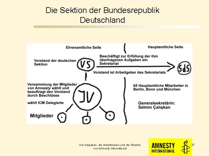 Die Sektion der Bundesrepublik Deutschland Die Aufgaben, die Arbeitsweise und die Struktur von Amnesty