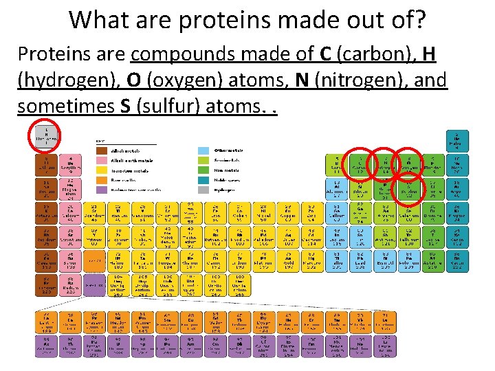 What are proteins made out of? Proteins are compounds made of C (carbon), H