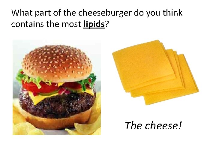 What part of the cheeseburger do you think contains the most lipids? The cheese!