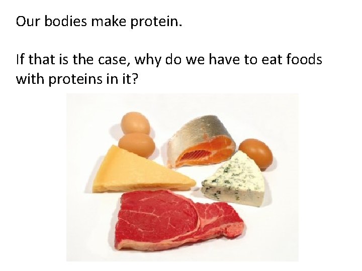 Our bodies make protein. If that is the case, why do we have to