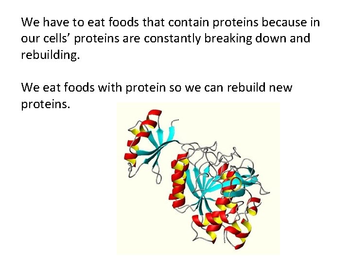 We have to eat foods that contain proteins because in our cells’ proteins are