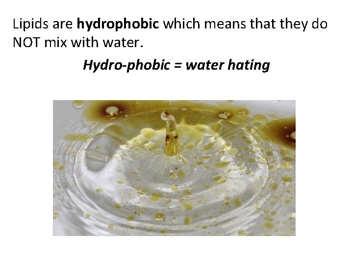 Lipids are hydrophobic which means that they do NOT mix with water. Hydro-phobic =