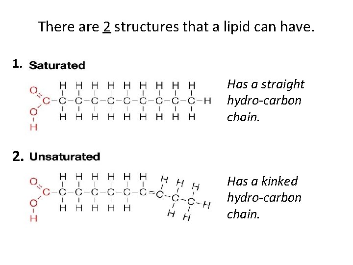 There are 2 structures that a lipid can have. 1. Has a straight hydro-carbon