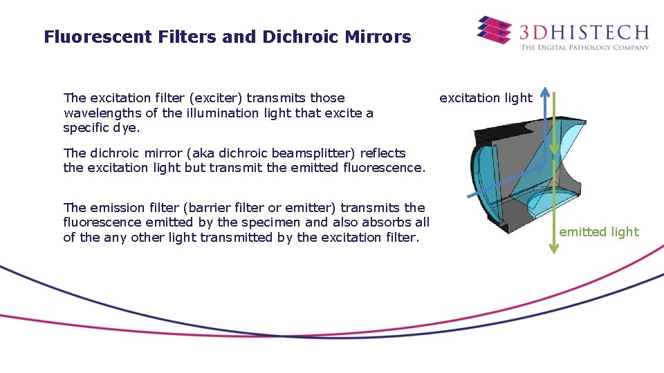 Fluorescent Filters and Dichroic Mirrors The excitation filter (exciter) transmits those wavelengths of the