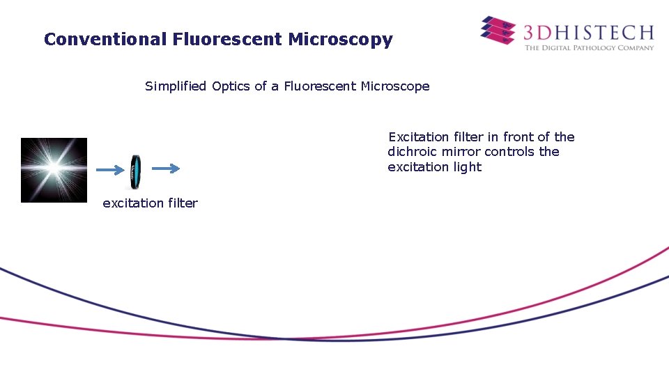 Conventional Fluorescent Microscopy Simplified Optics of a Fluorescent Microscope Excitation filter in front of