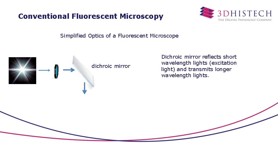 Conventional Fluorescent Microscopy Simplified Optics of a Fluorescent Microscope dichroic mirror Dichroic mirror reflects