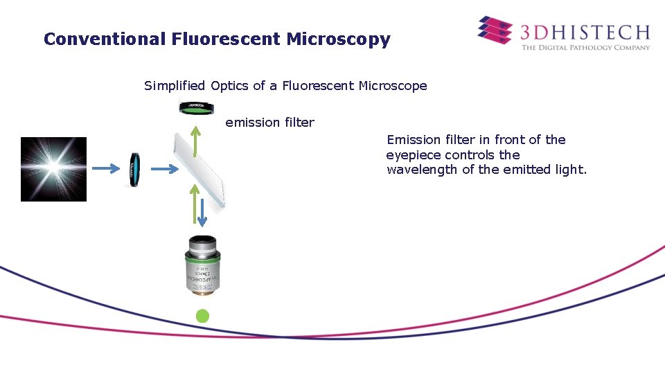 Conventional Fluorescent Microscopy Simplified Optics of a Fluorescent Microscope emission filter Emission filter in