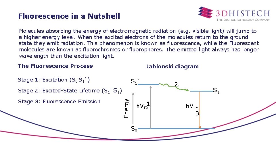 Fluorescence in a Nutshell Molecules absorbing the energy of electromagnetic radiation (e. g. visible