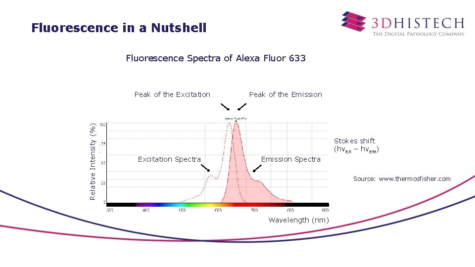 Fluorescence in a Nutshell Fluorescence Spectra of Alexa Fluor 633 Relative Intensity (%) Peak