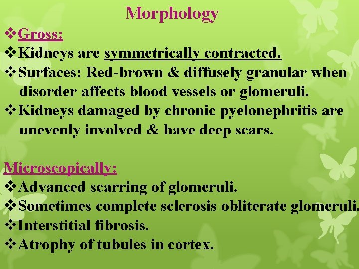 Morphology v. Gross: v. Kidneys are symmetrically contracted. v. Surfaces: Red-brown & diffusely granular