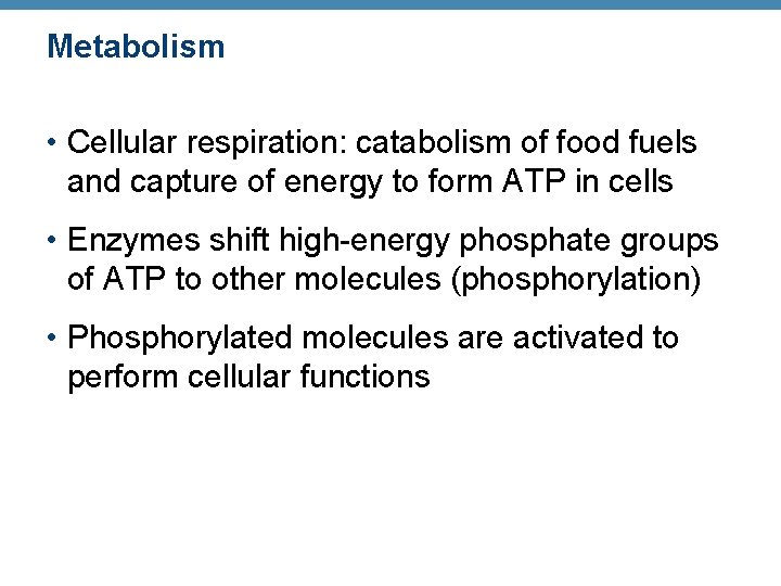 Metabolism • Cellular respiration: catabolism of food fuels and capture of energy to form