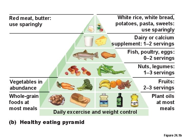 White rice, white bread, potatoes, pasta, sweets: use sparingly Red meat, butter: use sparingly