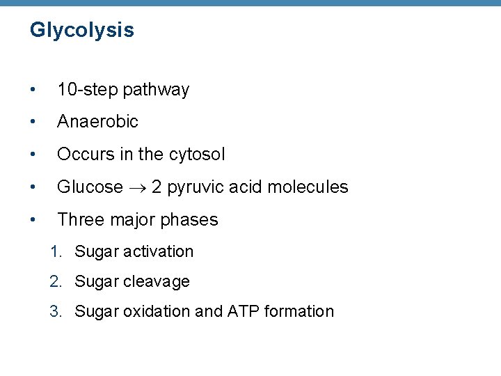 Glycolysis • 10 -step pathway • Anaerobic • Occurs in the cytosol • Glucose