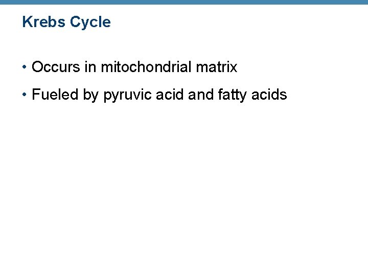Krebs Cycle • Occurs in mitochondrial matrix • Fueled by pyruvic acid and fatty