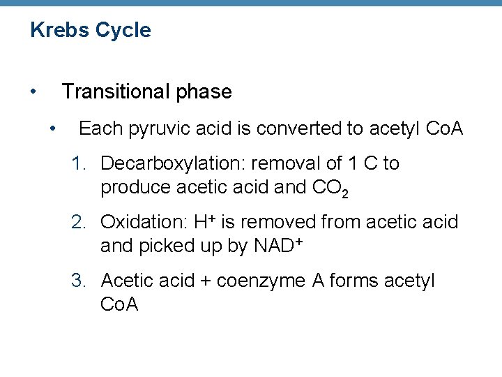 Krebs Cycle • Transitional phase • Each pyruvic acid is converted to acetyl Co.