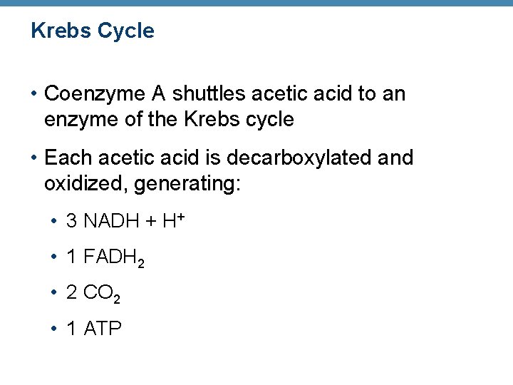 Krebs Cycle • Coenzyme A shuttles acetic acid to an enzyme of the Krebs