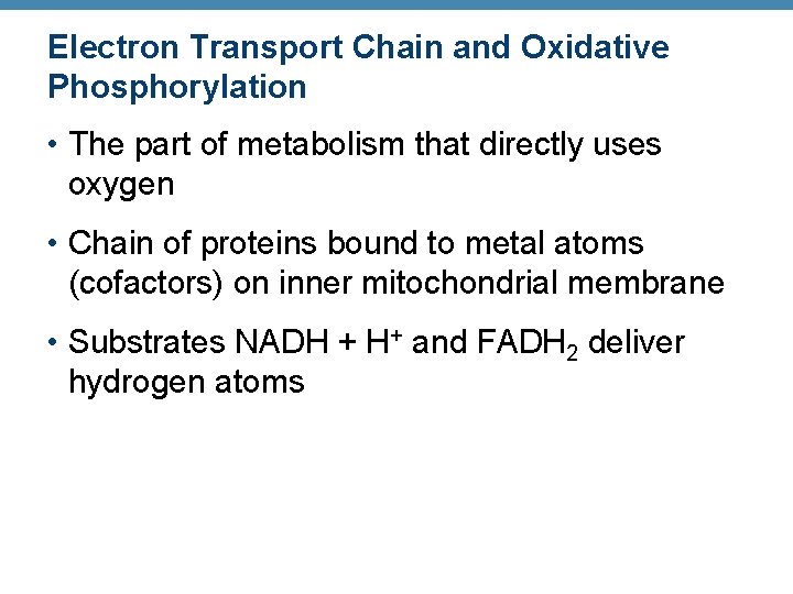 Electron Transport Chain and Oxidative Phosphorylation • The part of metabolism that directly uses
