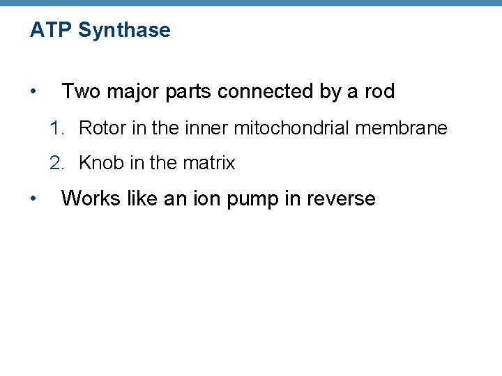 ATP Synthase • Two major parts connected by a rod 1. Rotor in the