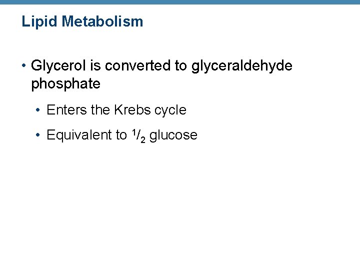 Lipid Metabolism • Glycerol is converted to glyceraldehyde phosphate • Enters the Krebs cycle