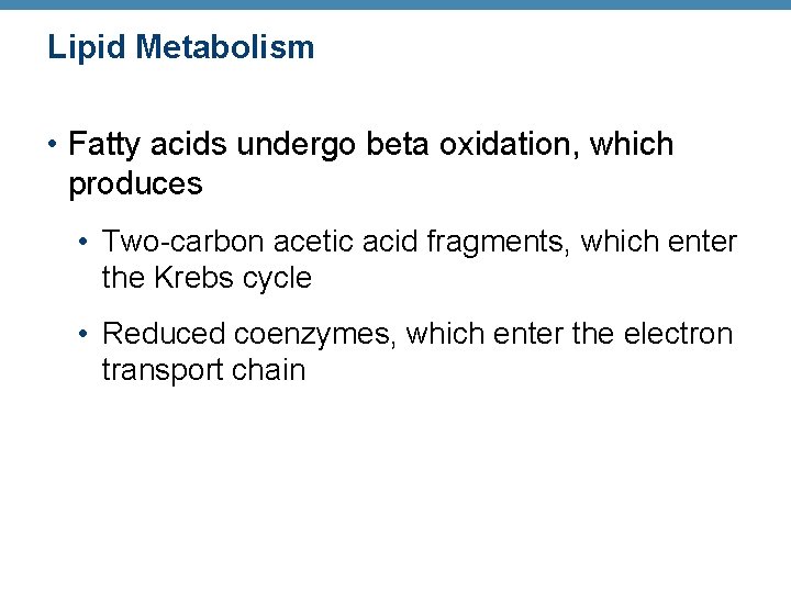 Lipid Metabolism • Fatty acids undergo beta oxidation, which produces • Two-carbon acetic acid
