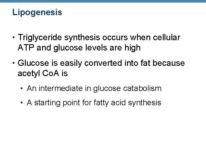 Lipogenesis • Triglyceride synthesis occurs when cellular ATP and glucose levels are high •