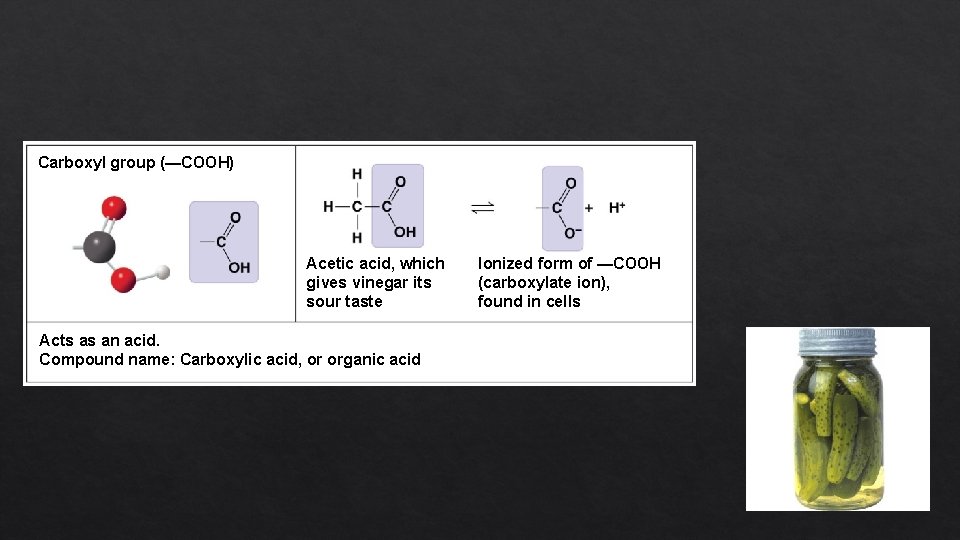 Carboxyl group (—COOH) Acetic acid, which gives vinegar its sour taste Acts as an