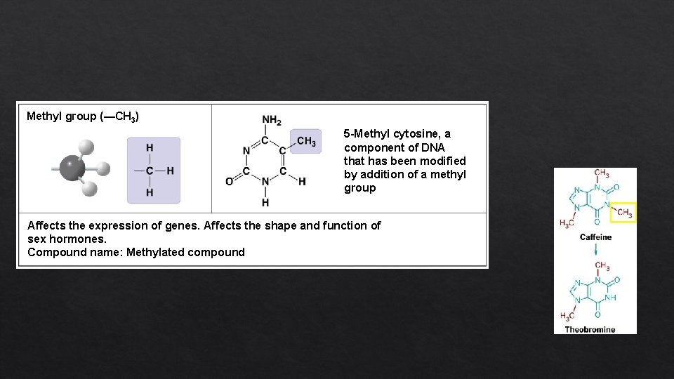 Methyl group (—CH 3) 5 -Methyl cytosine, a component of DNA that has been