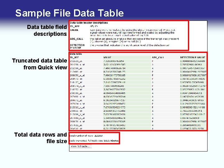 Sample File Data Table Data table field descriptions Truncated data table from Quick view