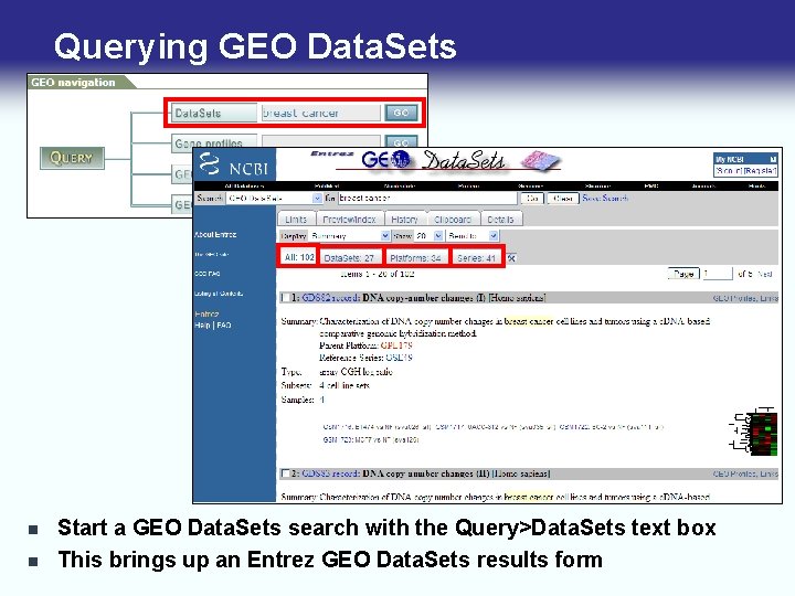 Querying GEO Data. Sets n n Start a GEO Data. Sets search with the