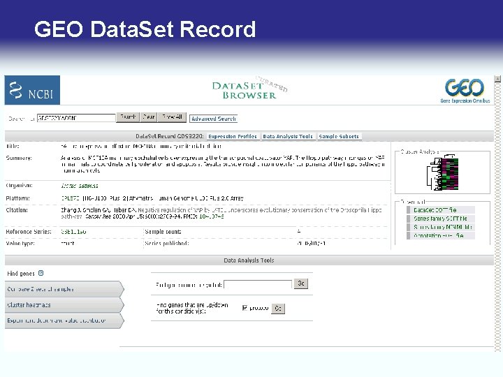 GEO Data. Set Record 