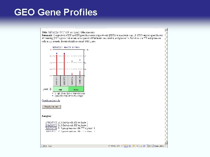 GEO Gene Profiles 