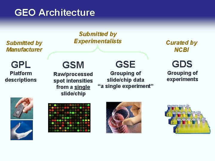 GEO Architecture Submitted by Manufacturer GPL Platform descriptions Submitted by Experimentalists GSM GSE Grouping