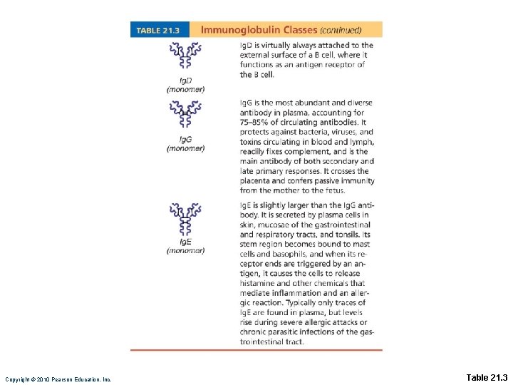 Copyright © 2010 Pearson Education, Inc. Table 21. 3 