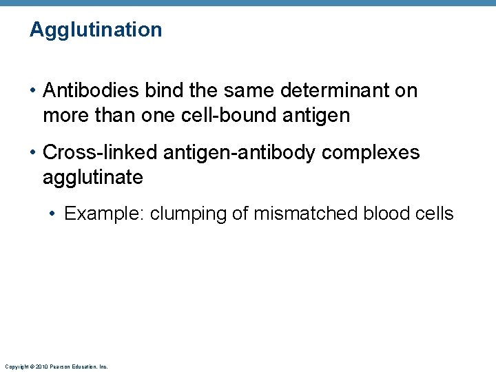 Agglutination • Antibodies bind the same determinant on more than one cell-bound antigen •