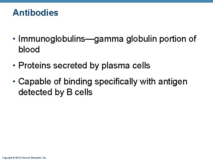 Antibodies • Immunoglobulins—gamma globulin portion of blood • Proteins secreted by plasma cells •
