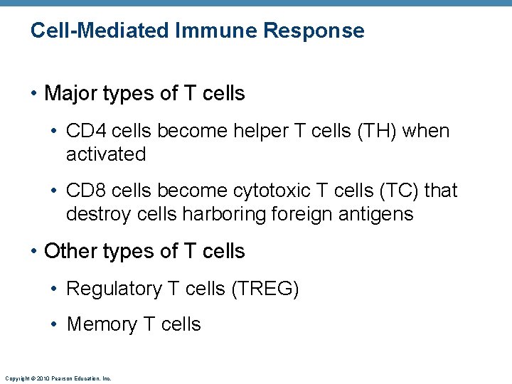 Cell-Mediated Immune Response • Major types of T cells • CD 4 cells become