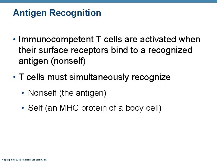 Antigen Recognition • Immunocompetent T cells are activated when their surface receptors bind to