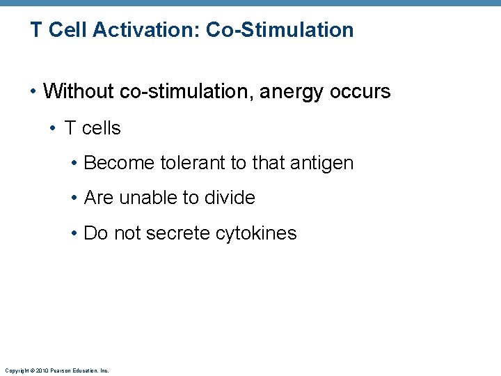 T Cell Activation: Co-Stimulation • Without co-stimulation, anergy occurs • T cells • Become
