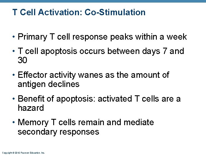 T Cell Activation: Co-Stimulation • Primary T cell response peaks within a week •