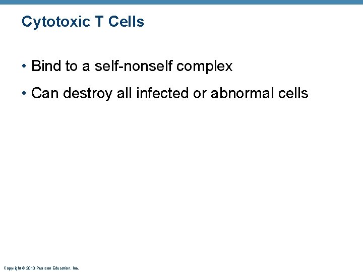 Cytotoxic T Cells • Bind to a self-nonself complex • Can destroy all infected