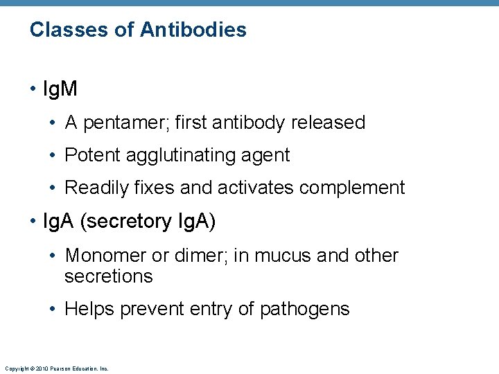 Classes of Antibodies • Ig. M • A pentamer; first antibody released • Potent