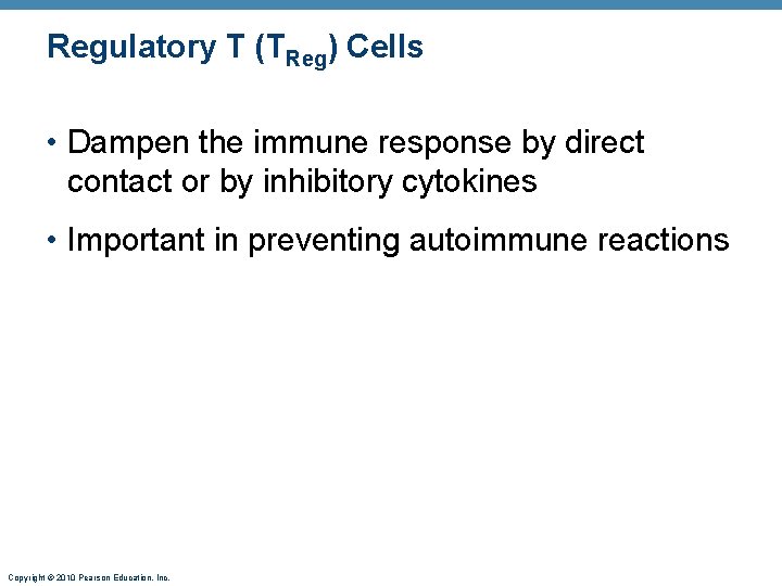 Regulatory T (TReg) Cells • Dampen the immune response by direct contact or by