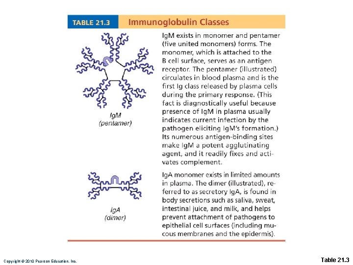 Copyright © 2010 Pearson Education, Inc. Table 21. 3 